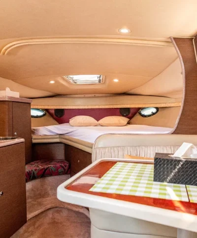 Regal – 33 ft Mini Yacht