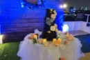 Wedding Events on a Yacht