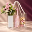 Acrylic Treat Handbag