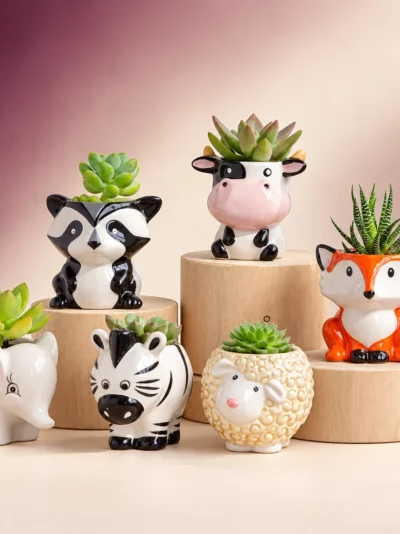Animal Succulent Favours – Set of 10